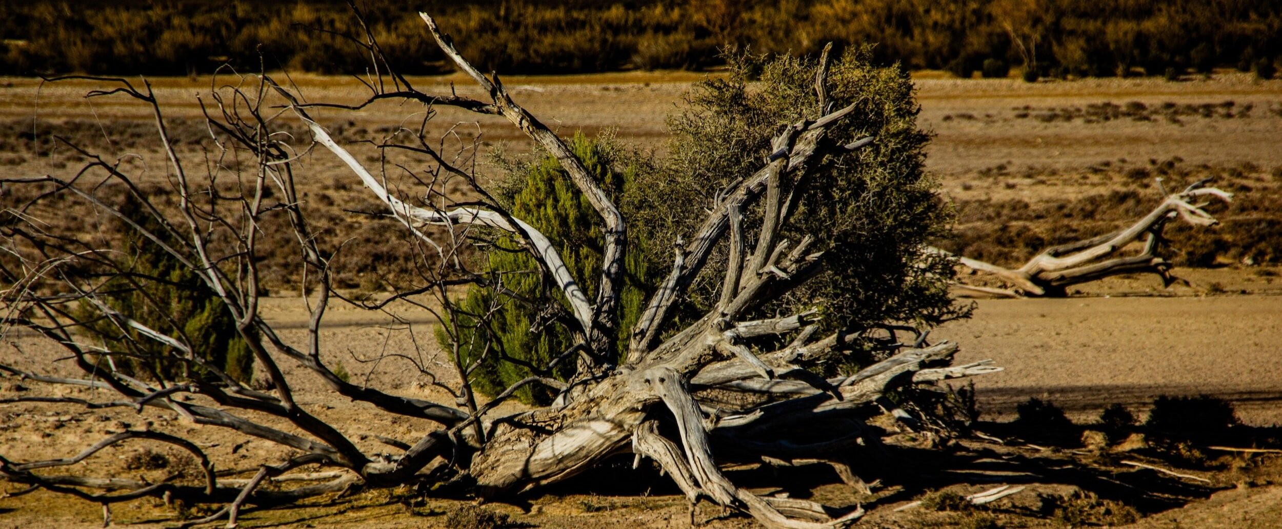 Merlin-Project-Mainstreaming+Ecological+Restoration+of+freshwater-related+ecosystems+in+a+Landscape+context_+INnovation,+upscaling+and+transformation