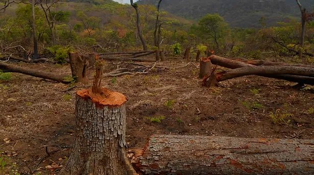 Adafarm_European_Commission_Marie_Sktodowska_Curie_Action
